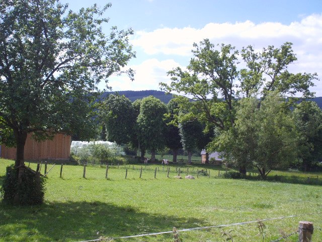 2014hwk 047.jpg